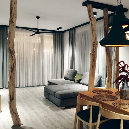 Dor Apartment Пояна-Брашов Экстерьер фото
