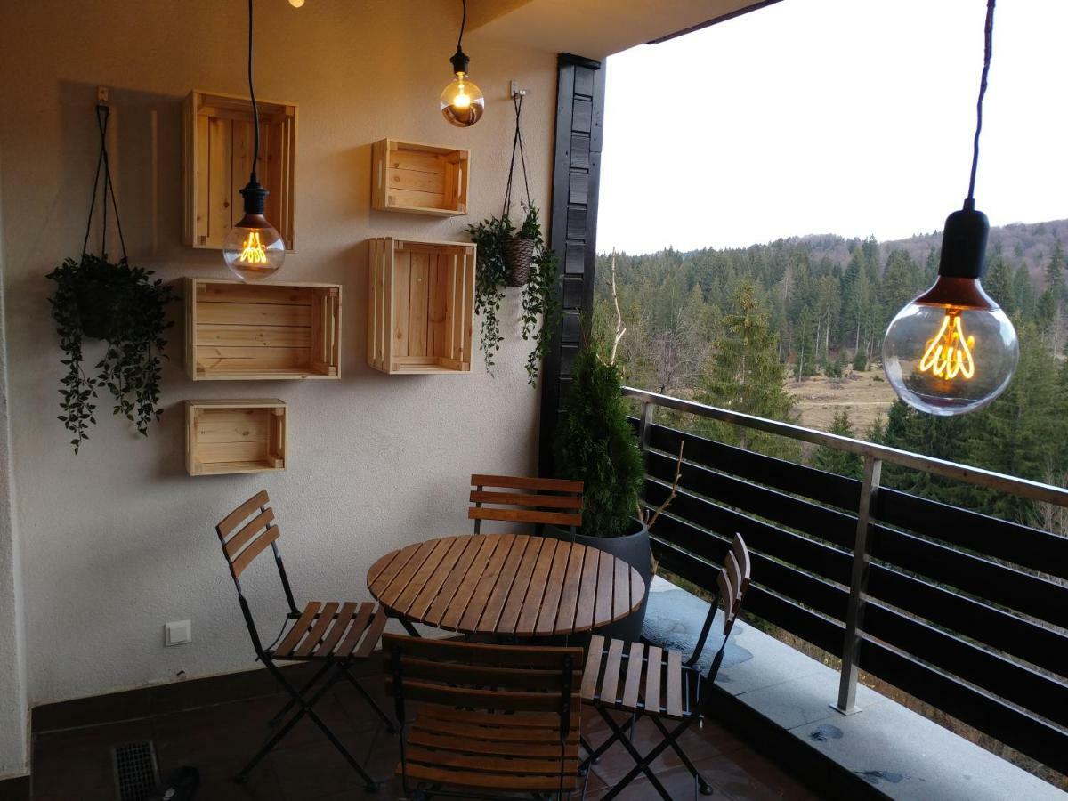 Dor Apartment Пояна-Брашов Экстерьер фото